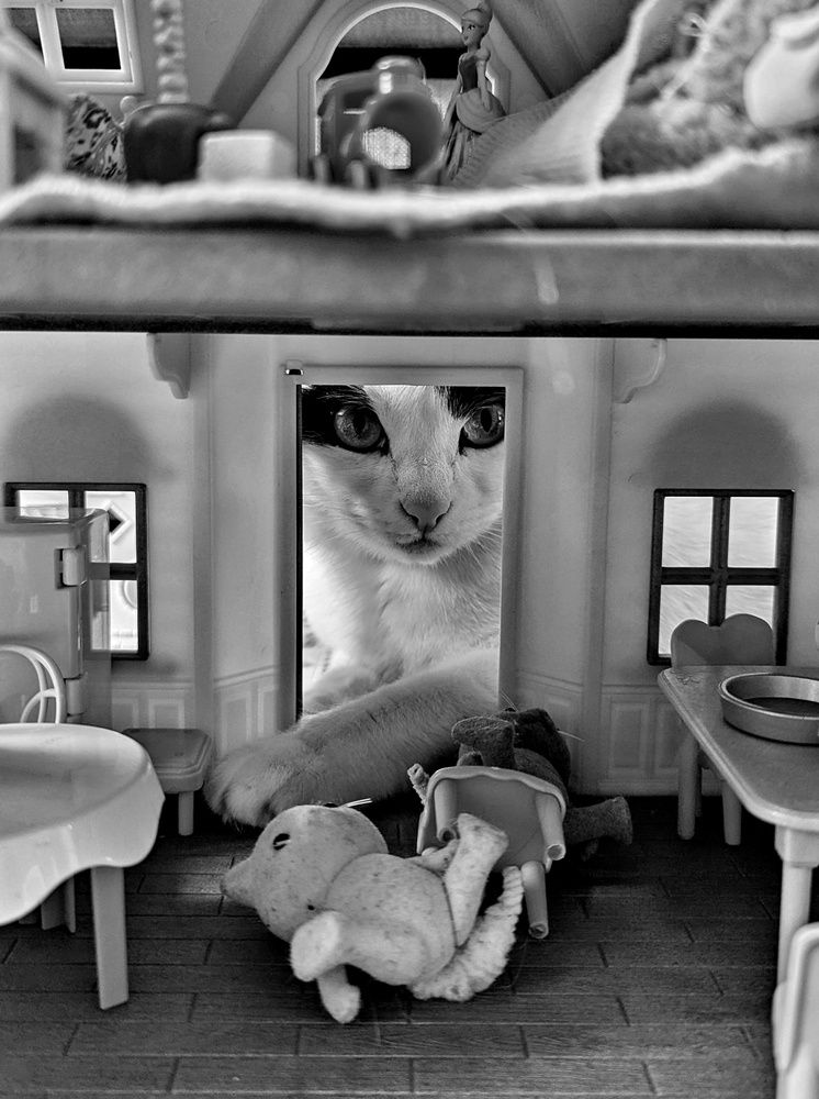 Photograph by AlexaL