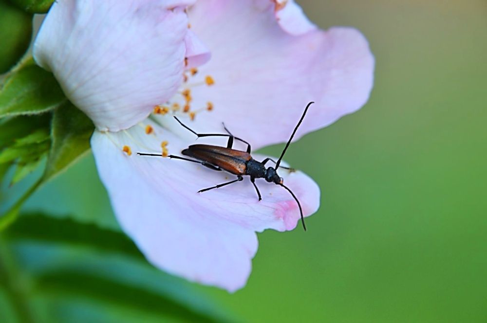 Photograph by Елена Чулюнина