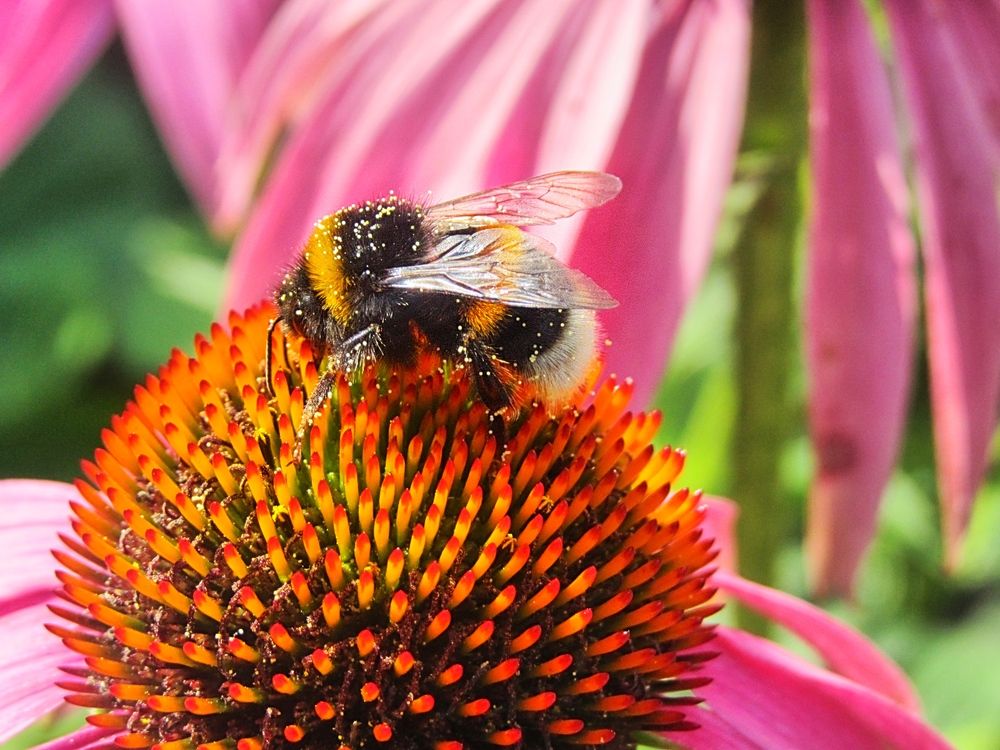 Photograph by Елена Чулюнина