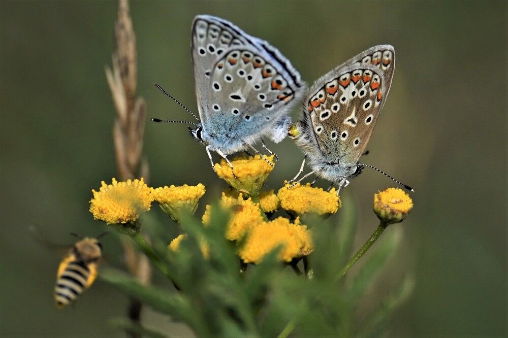 Фотография автора IRINA FILIPPOVA