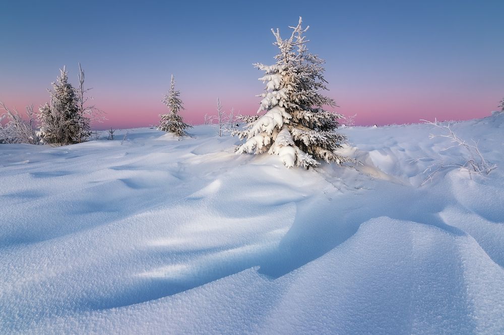 Photograph by Антон Кошетаров