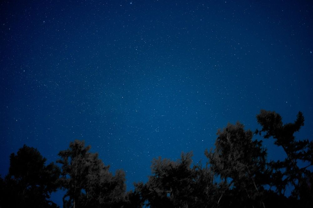 Фотография автора Руслан Минченко