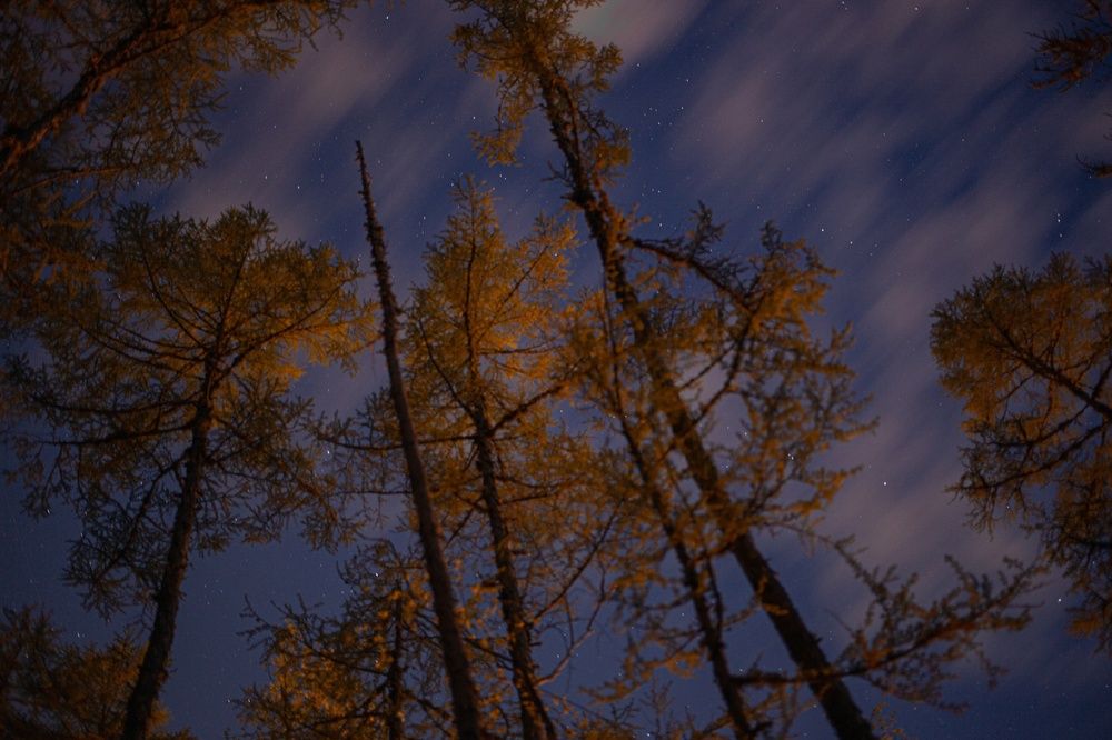 Фотография автора Руслан Минченко