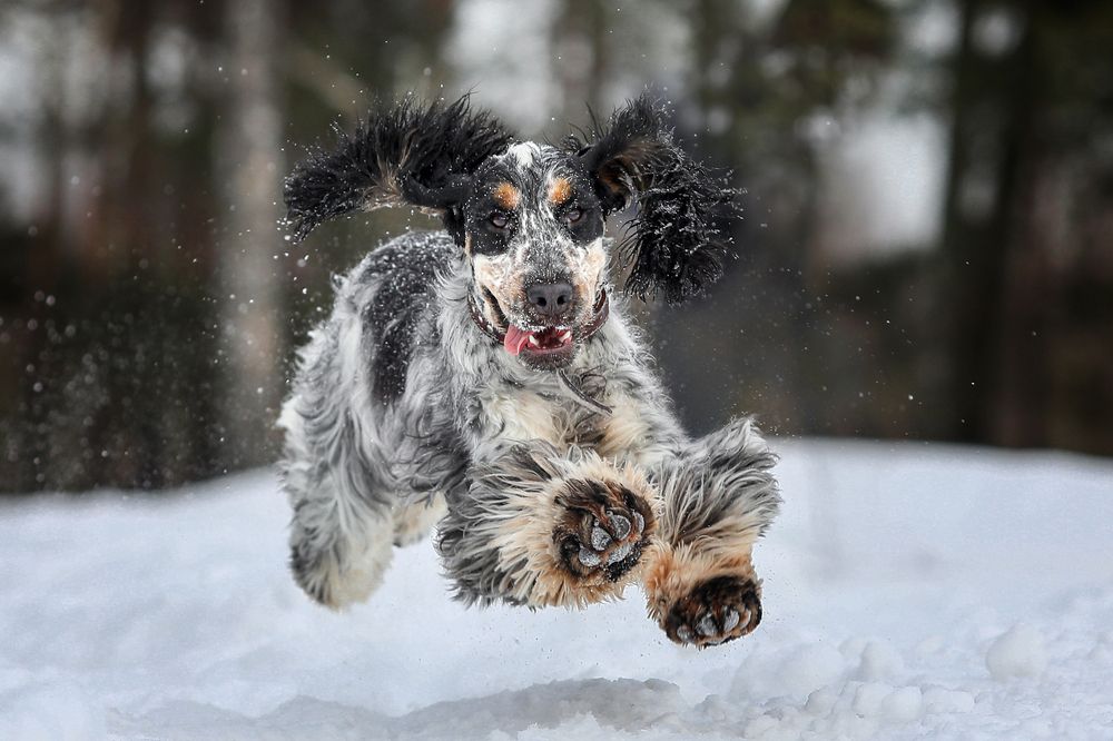 Photograph by Андрей Ершов