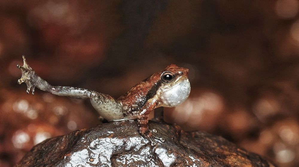 Photograph by Vivek Kuber