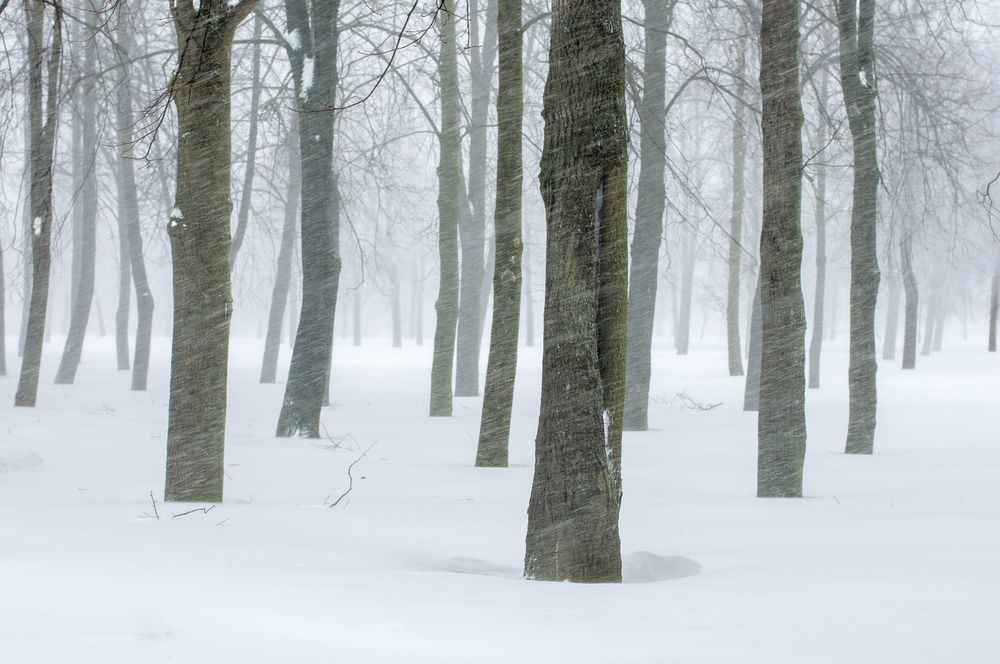 Photograph by Андрей Семенков