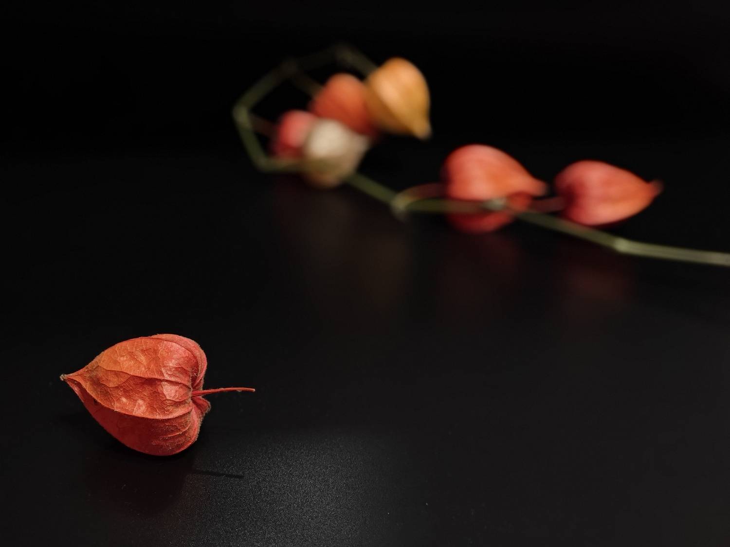 Photo #11878066