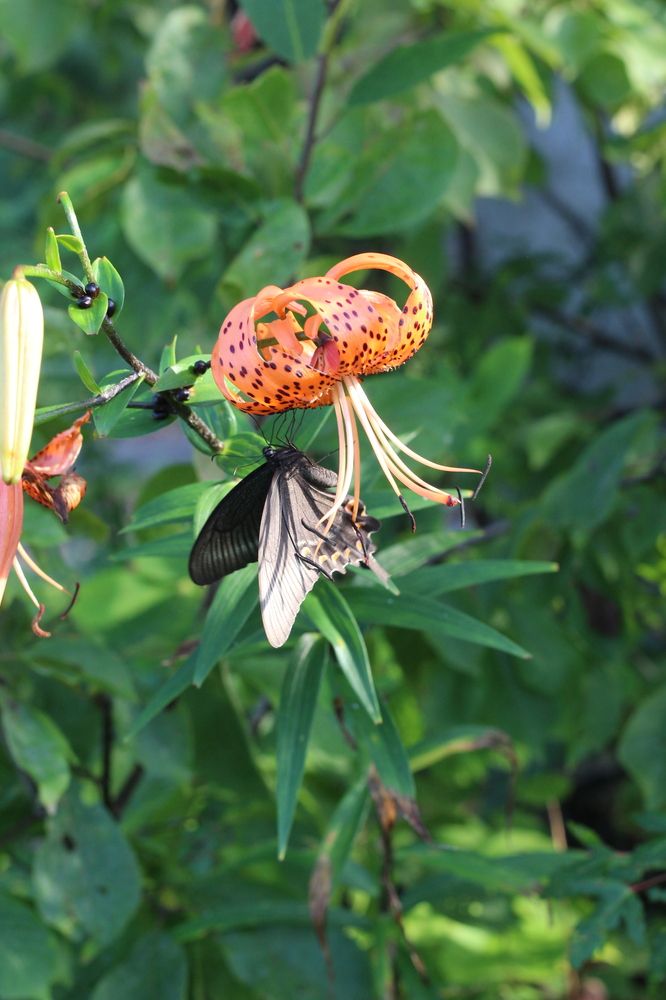 Photograph by Козлова Ольга