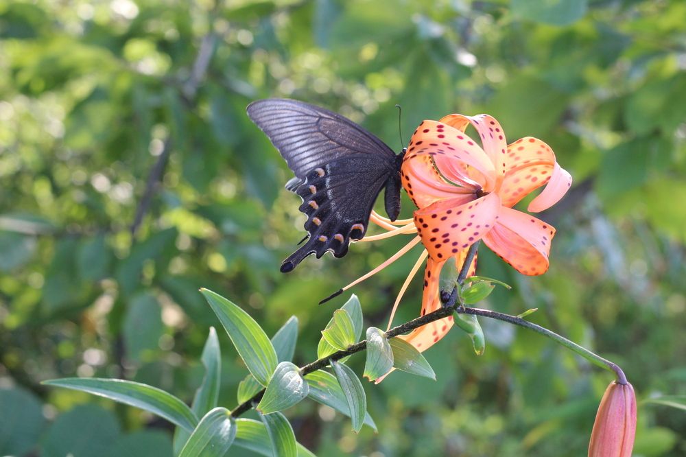 Photograph by Козлова Ольга