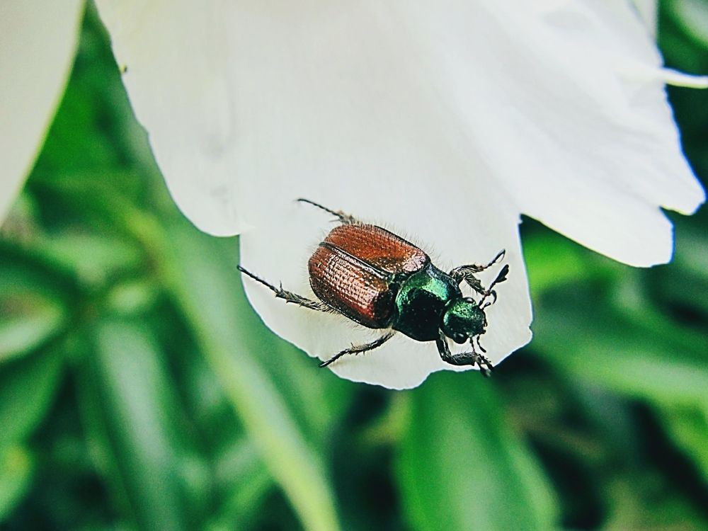 Photograph by Елена Чулюнина