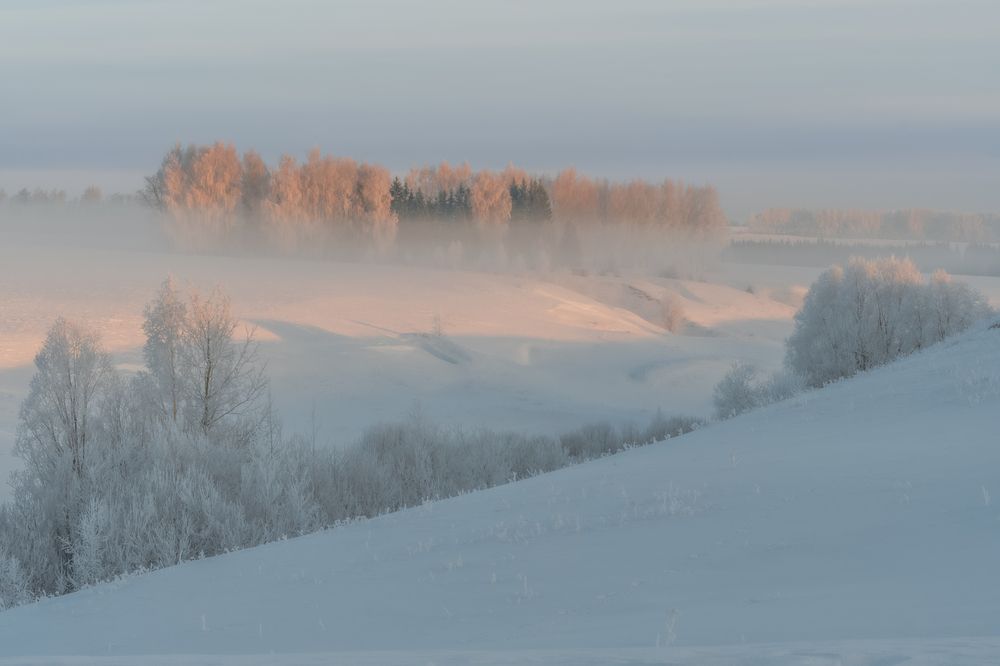 Фотография автора Константин Григорьев
