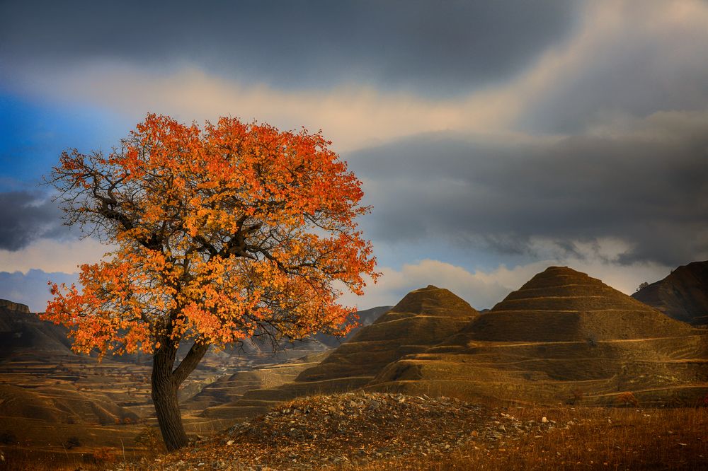 Photograph by Андрей Ершов