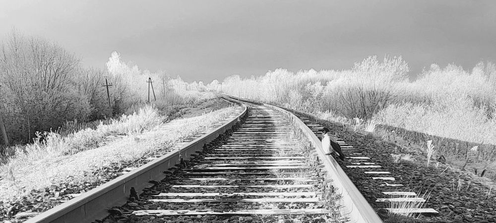 Photograph by Соколова Елена