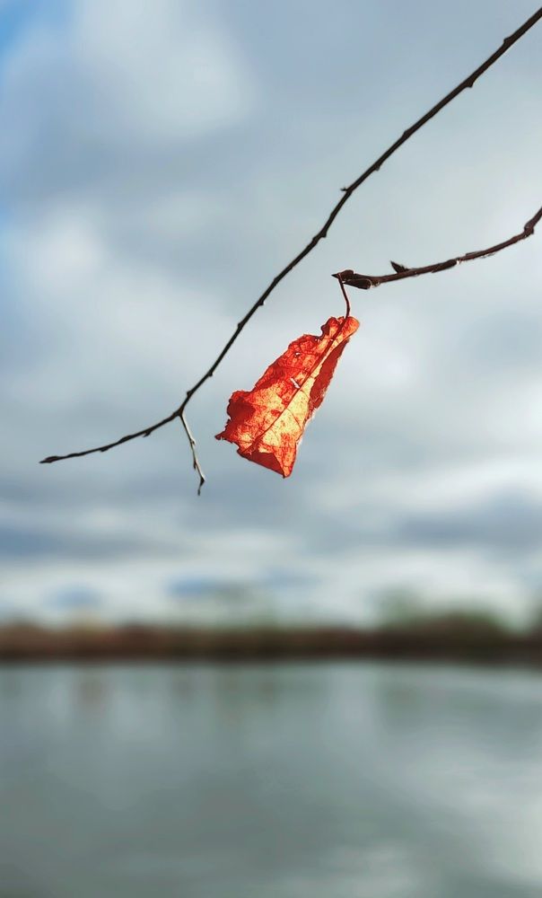 Photograph by Соколова Елена