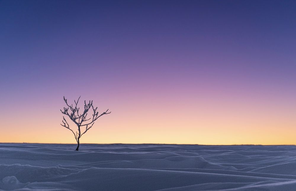 Photograph by Антон Дроздов