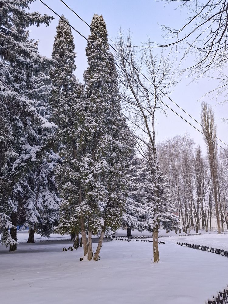 Фотография автора Irina Vornacheva