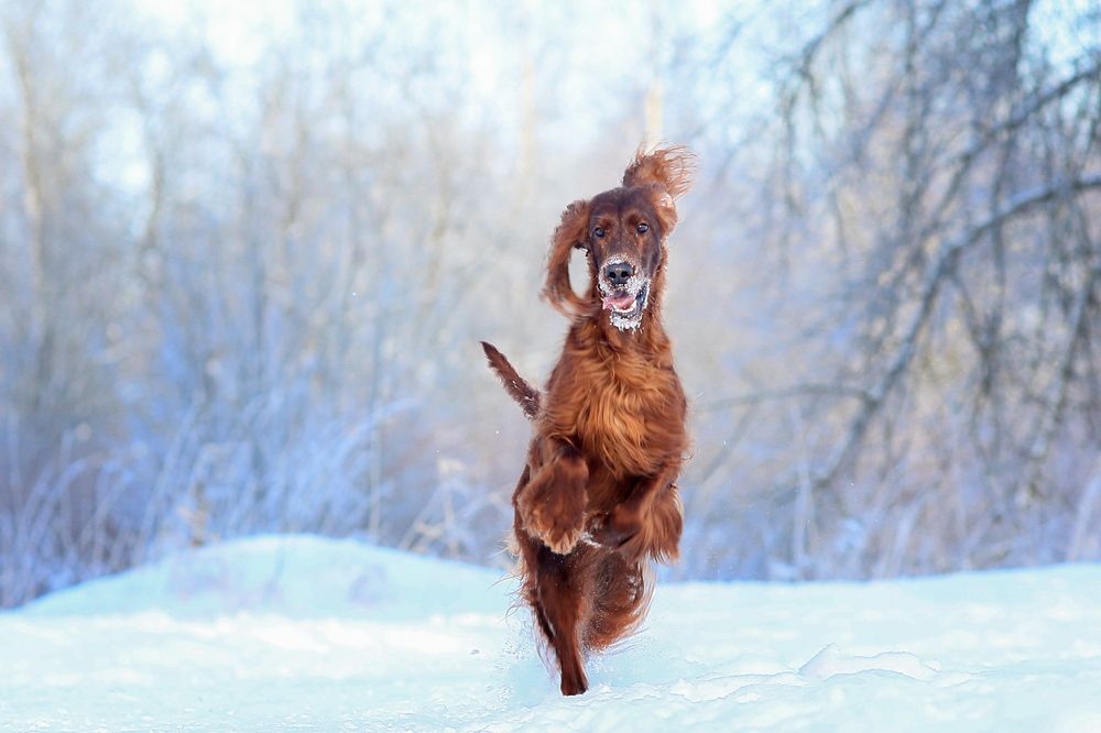 Photograph by Андрей Ершов