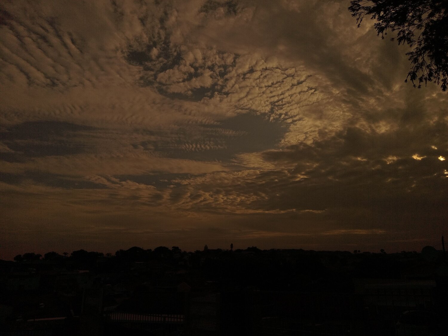 Photo #11878123
