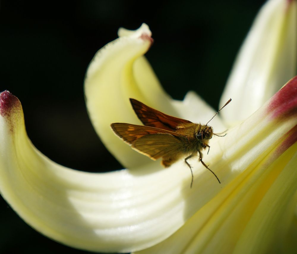 Photograph by Дмитрий Ткаченко