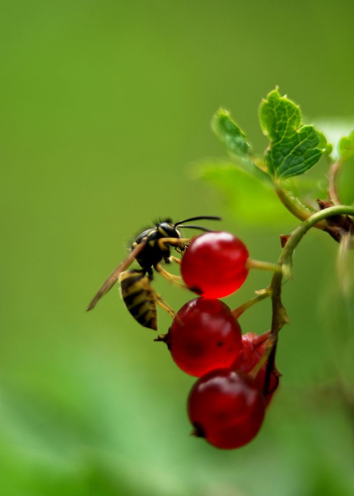 Photograph by Дмитрий Ткаченко