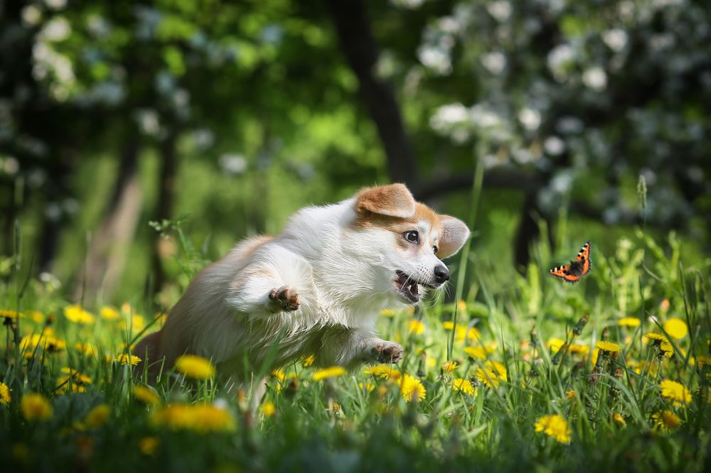 Photograph by Андрей Ершов