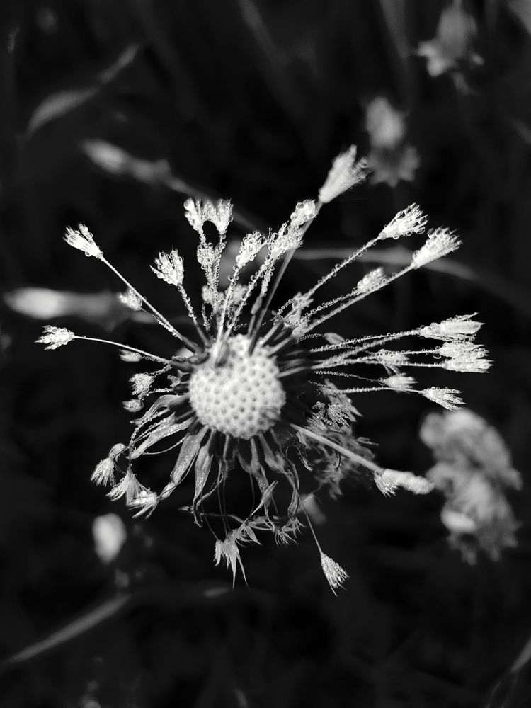 Photograph by Александра Пухкалова