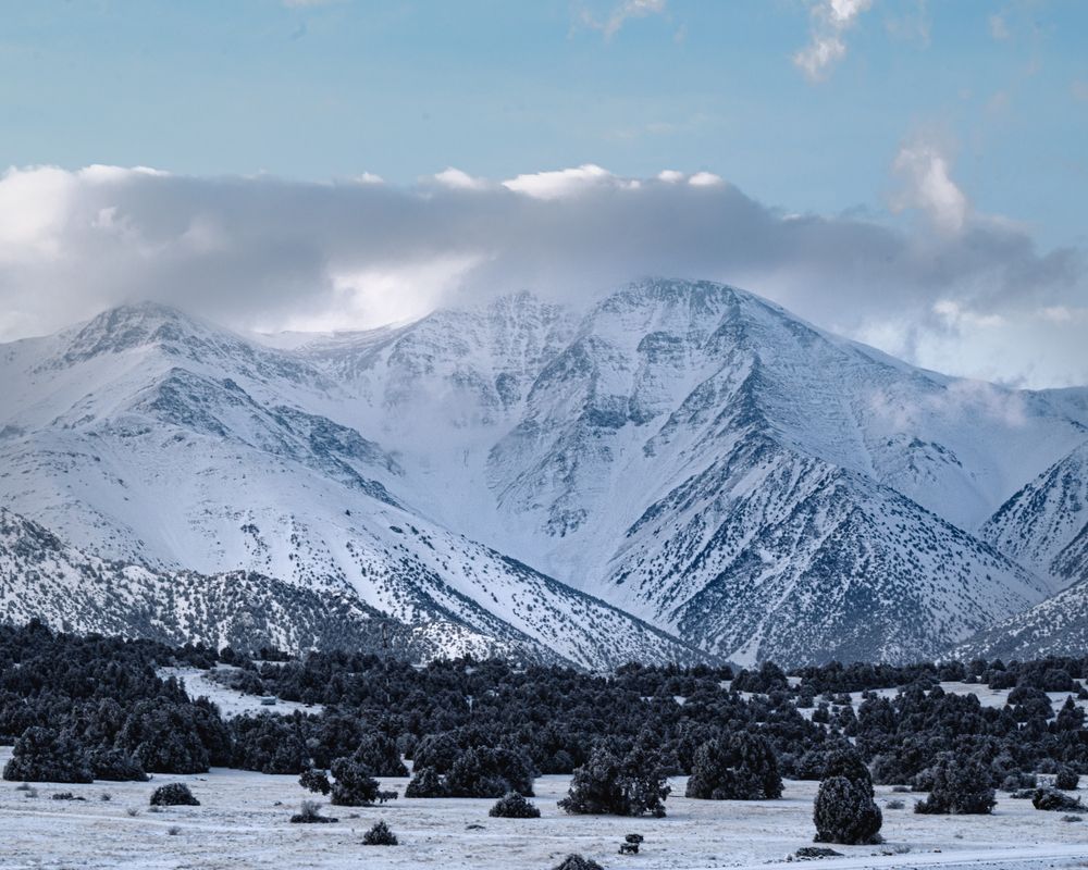 Снежные горы