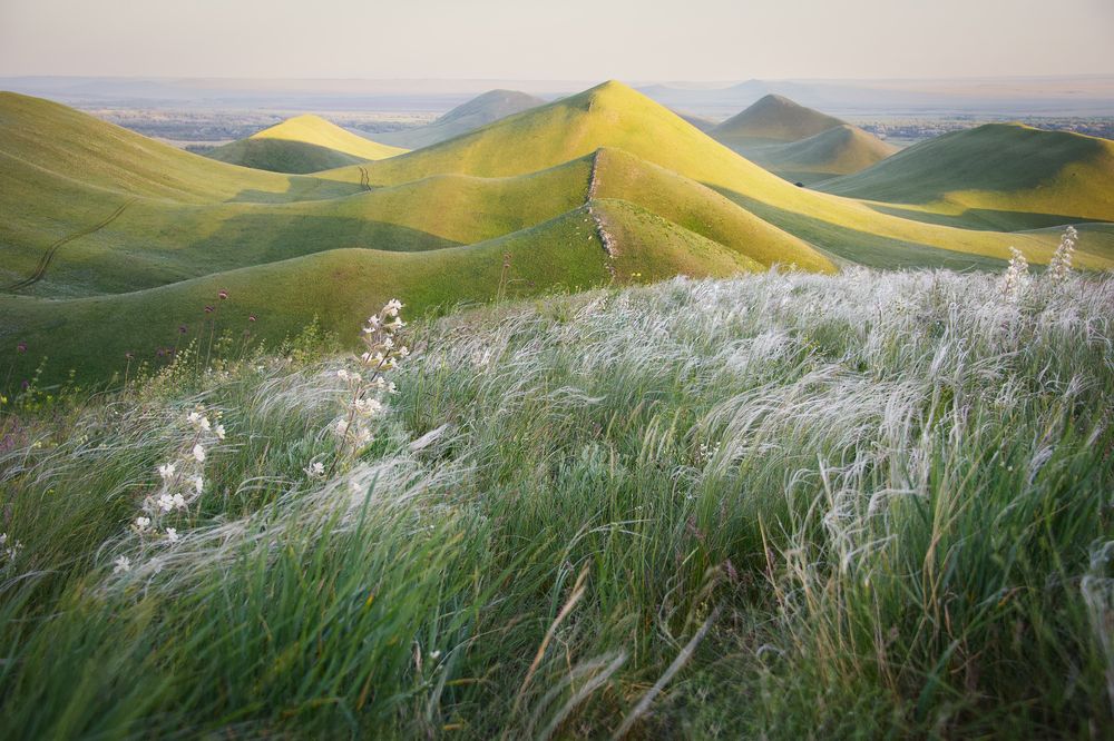 Фотография автора Ольга Белоусова