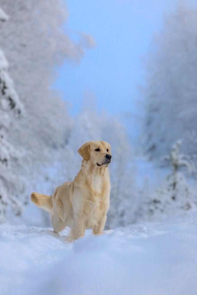 Photograph by Андрей Ершов