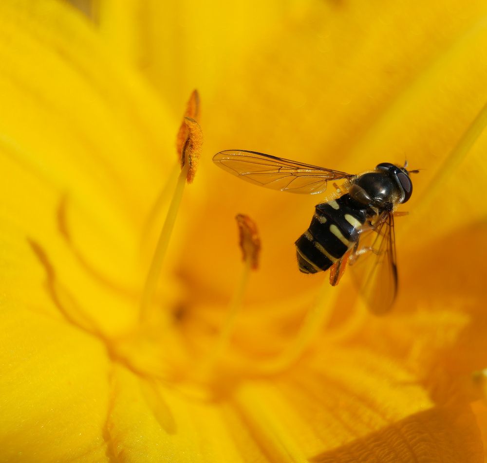 Photograph by Дмитрий Ткаченко