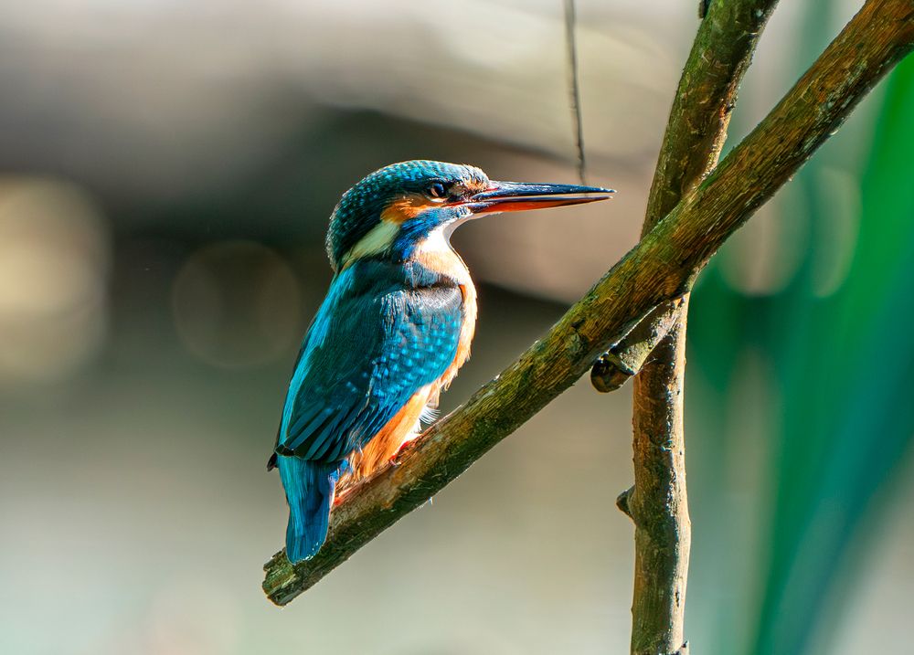 Photograph by Viktor Makarov