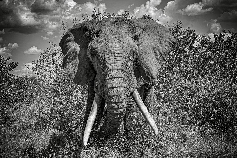 Фотография автора Emi D