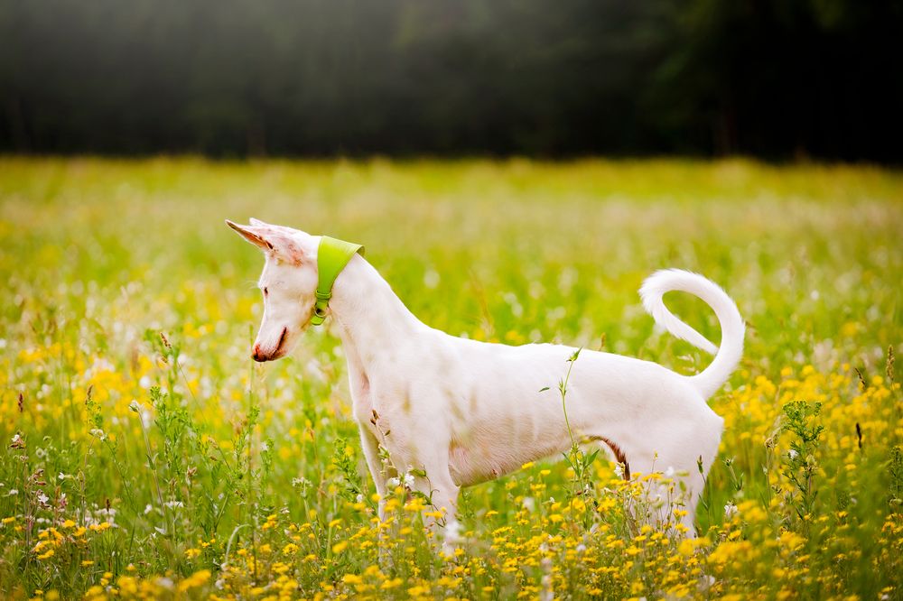 Photograph by Виолетта Бастет