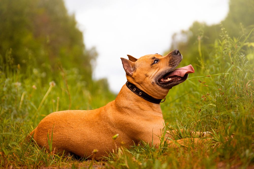 Photograph by Виолетта Бастет