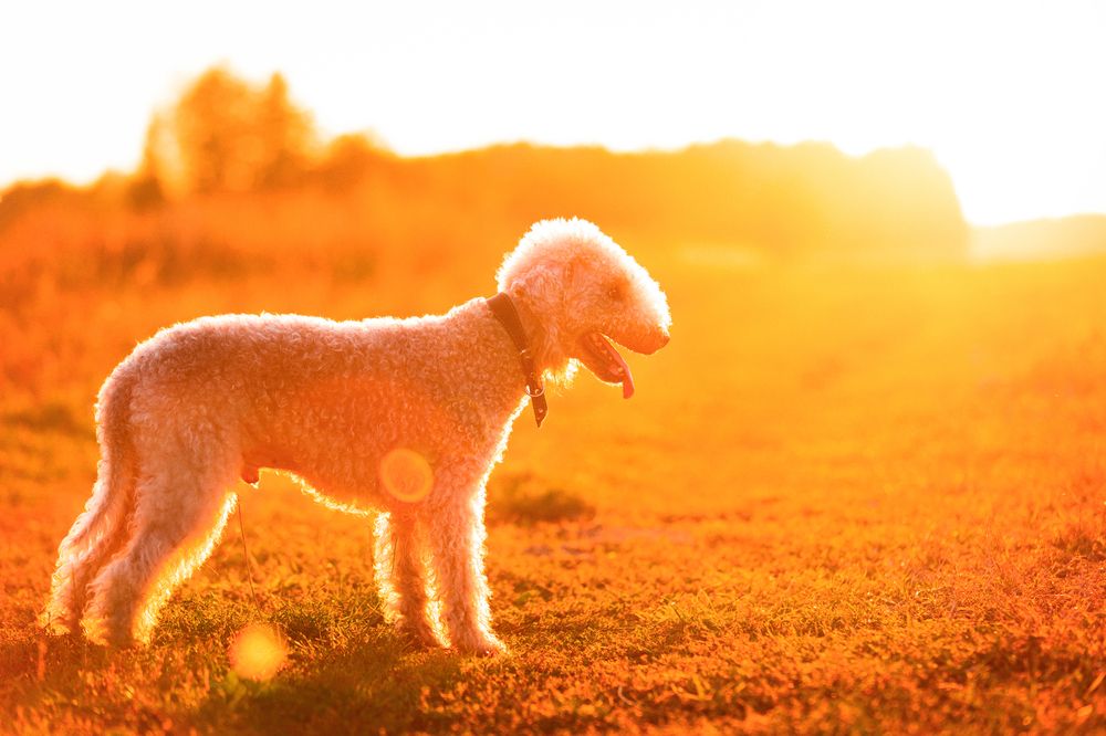 Photograph by Виолетта Бастет