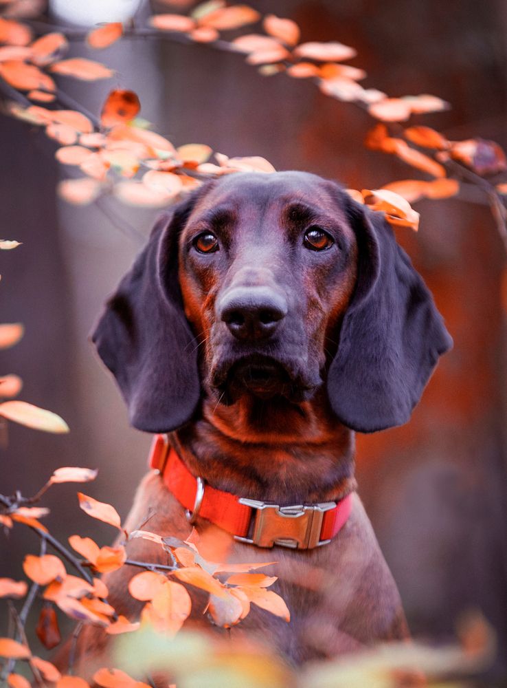 Photograph by Виолетта Бастет