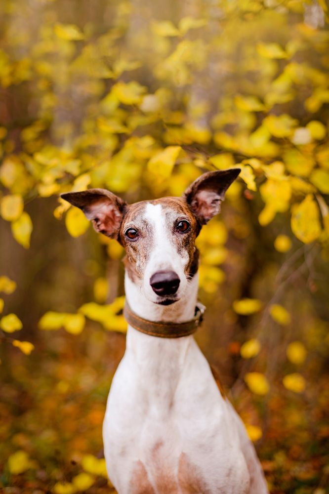 Photograph by Виолетта Бастет