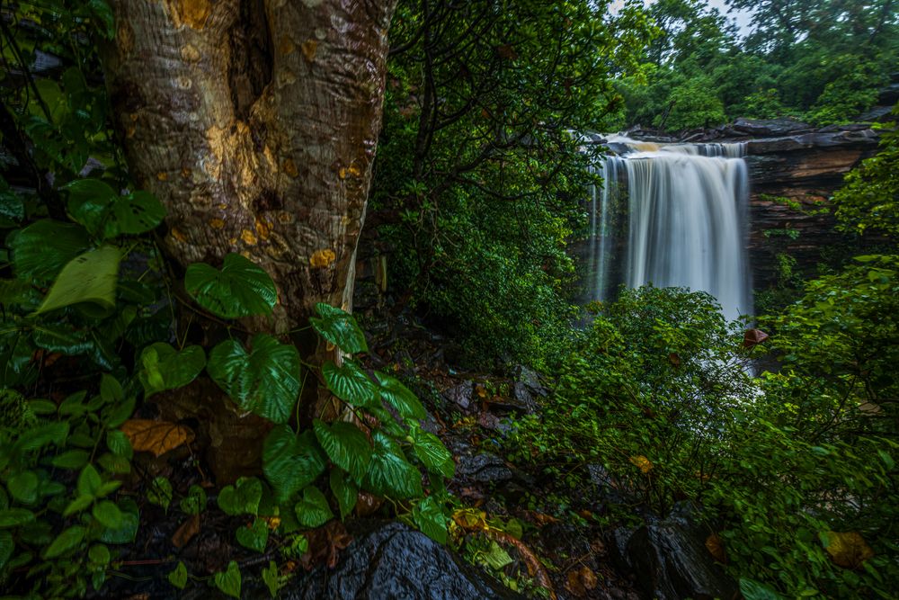 Photograph by Kshitij Patle