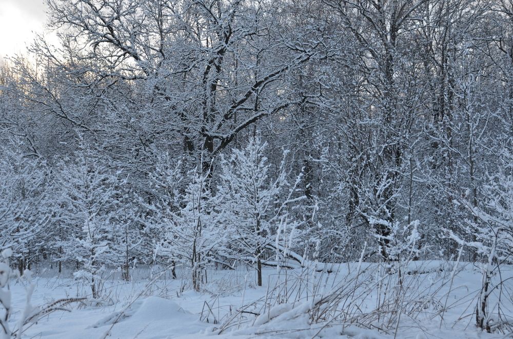 Photograph by Лина Лимарева