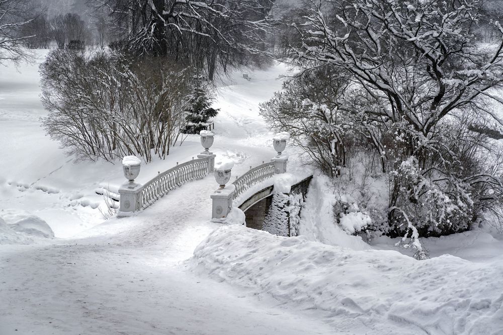 Photograph by Елена