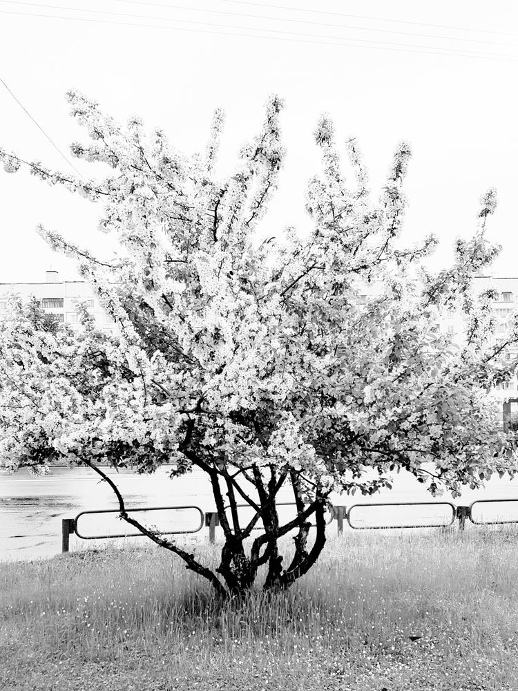 Photograph by Александра Пухкалова