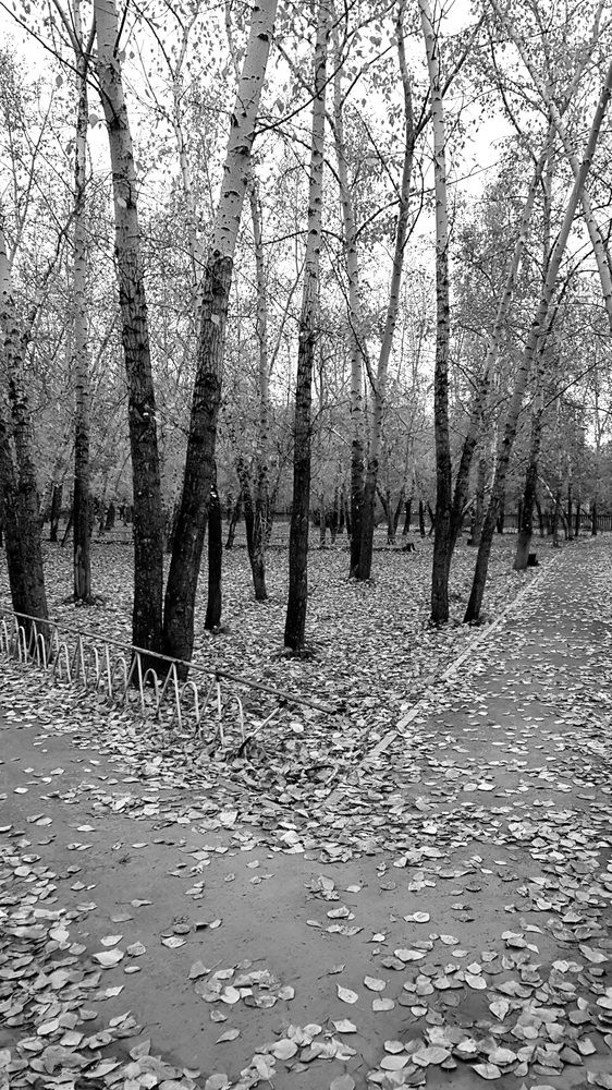 Photograph by Александра Пухкалова