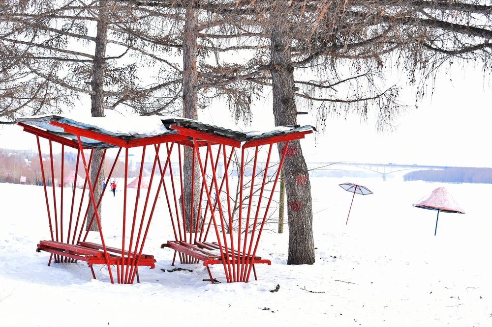 Photograph by Арина Черникова