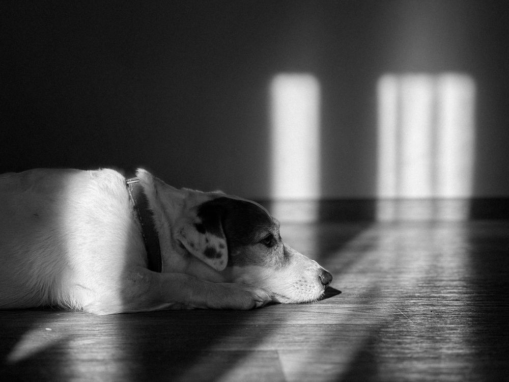 Photograph by Ksenija Zdanova