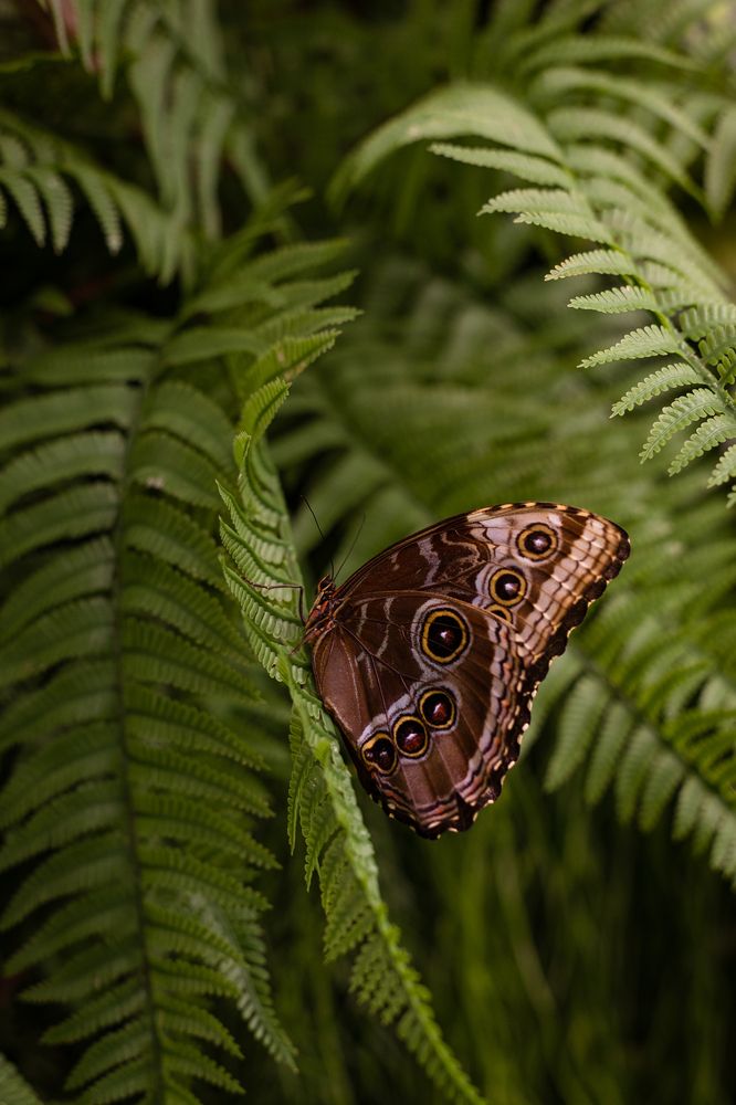 Photograph by Виолетта Бастет