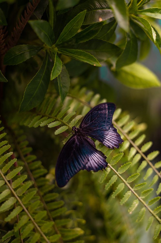 Photograph by Виолетта Бастет