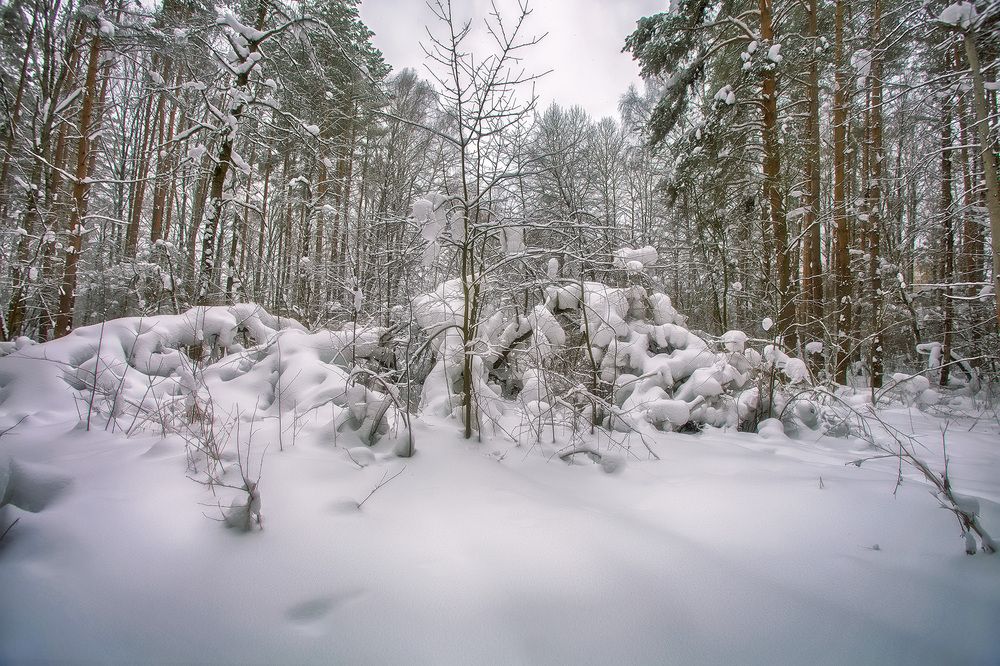 Photograph by Феофанов Николай