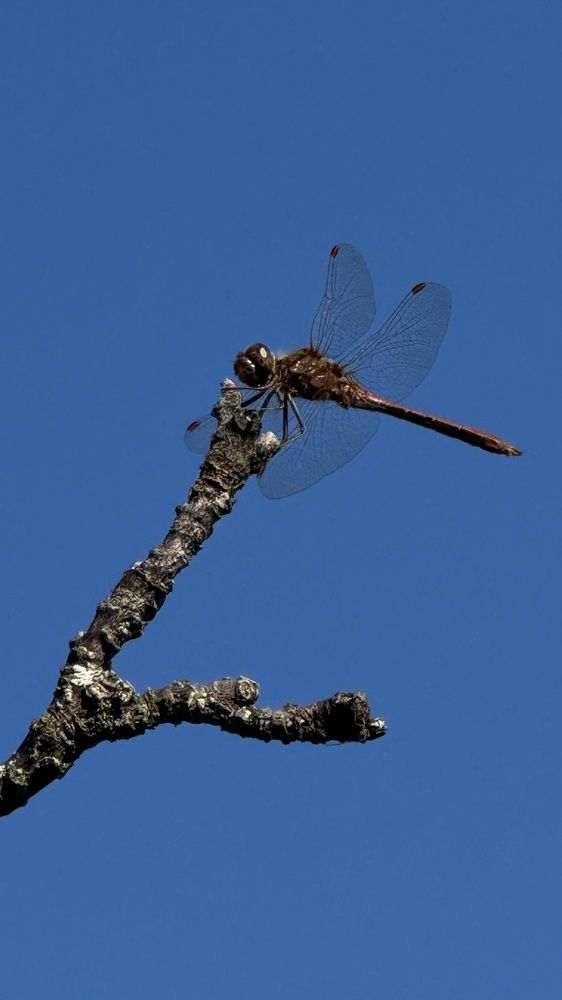 Photograph by Наталья Иванова