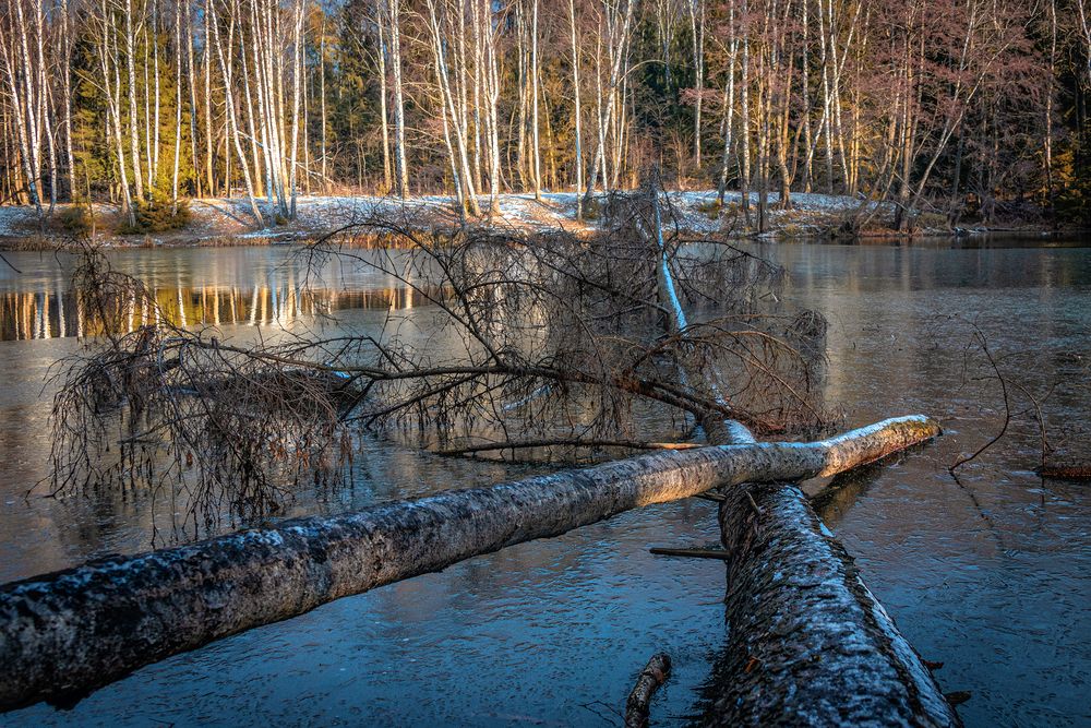 Photograph by Юрий Михайлович Головкин