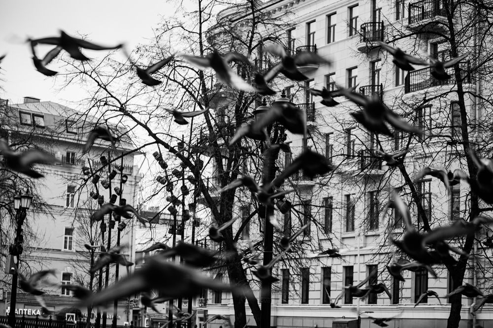Photograph by Вадим Зазулин